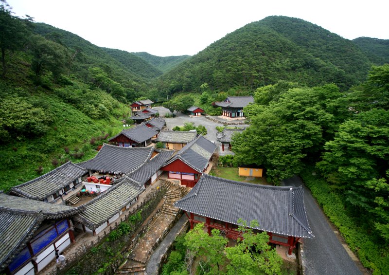 의성군, 착한여행 의성투어 전담여행사 3개사 선정 - 파이낸셜뉴스
