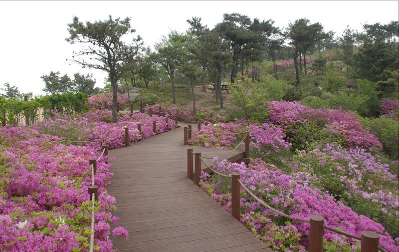 "'걷기좋은' 명품숲길에서 하루 만 보 걸어봐요"