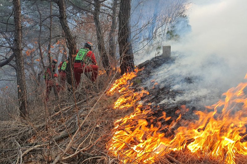 산림청 산불특수진화대원들이 경북 영덕군 영덕읍 화수리 산불현장에서 진화작업을 하고 있다. 2022.2.17/뉴스1 ⓒ News1 최창호 기자