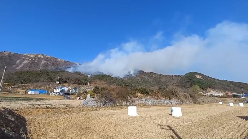 강화도 마니산에서 산불이 발생해 축구장 30개 규모에 해당하는 22만㎡의 산림이 소실됐다.