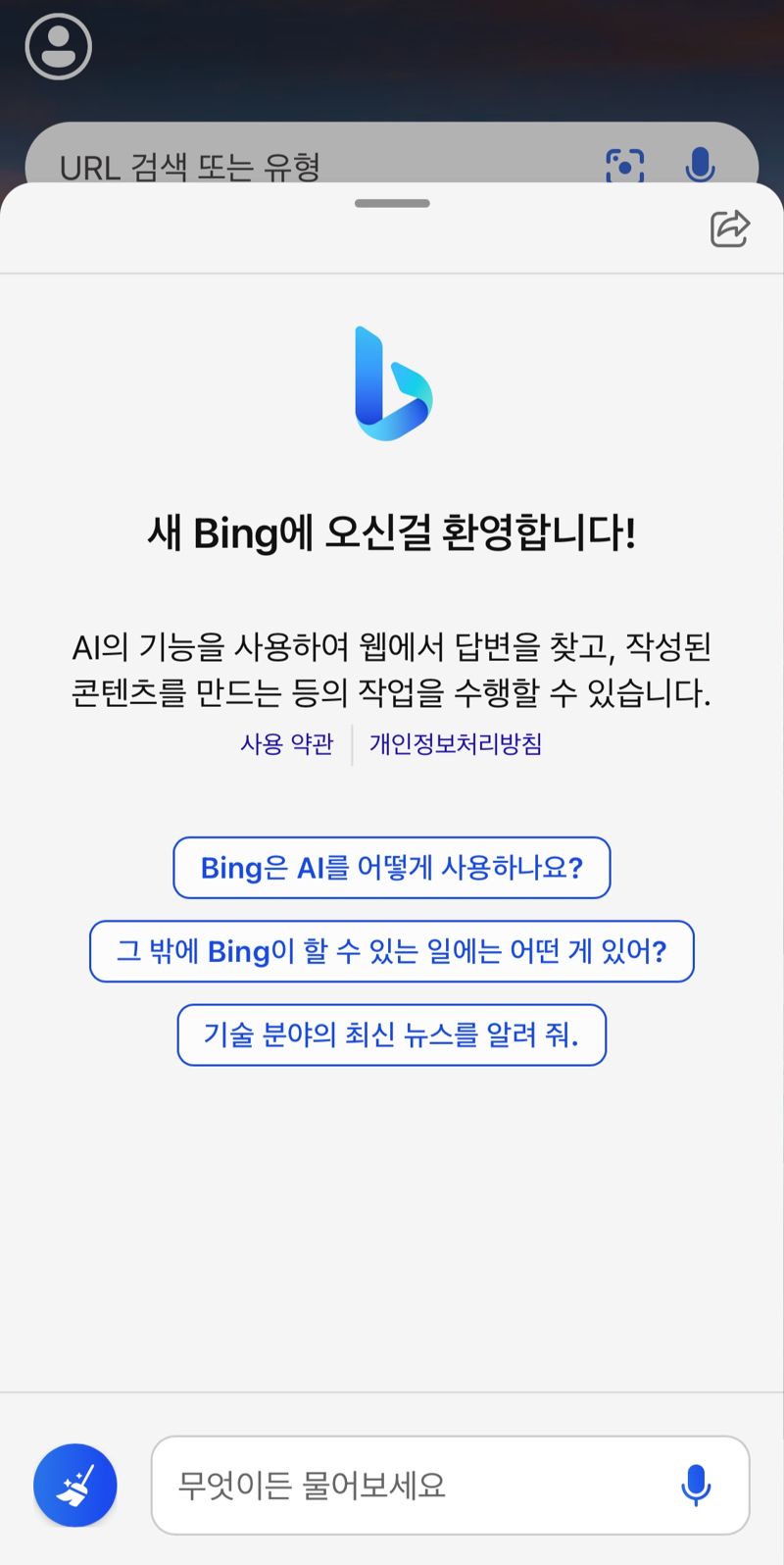 빙 AI 챗봇 이미지. 빙 애플리케이션 캡처