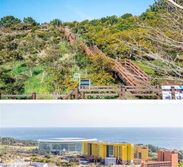 베릿내오름과 제주국제평화센터 [제주관광공사 제공, 재판매 및 DB 금지]