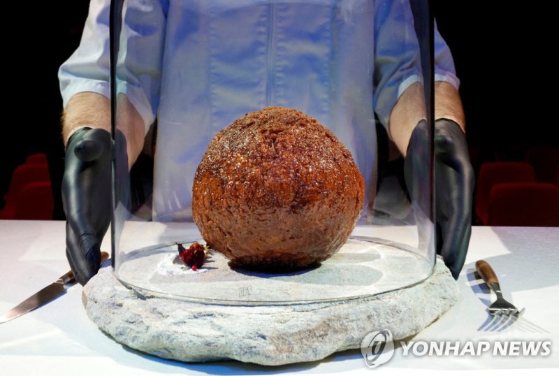 '매머드 고기'로 진짜 '미트볼' 만들었는데 아무도 먹지 않는다?