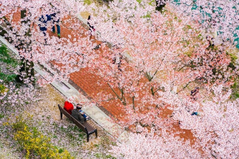 한화리조트 경주에서 본 보문호수 모습(한화호텔앤드리조트 제공)