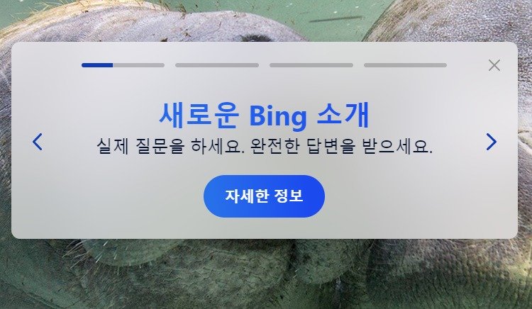 마이크로소프트 검색엔진 '빙'이 챗GPT를 적용해 '새로운 빙(New Bing)' 서비스를 시작했다.ⓒ 뉴스1