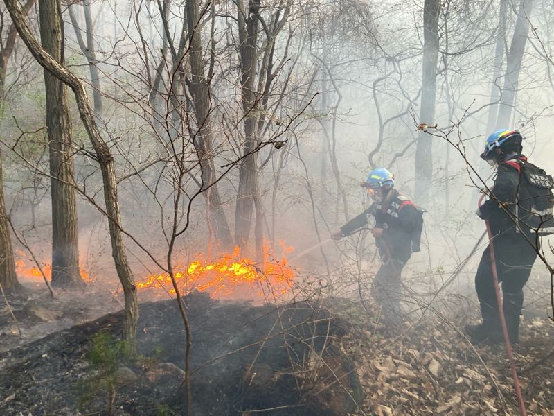 산불재난특수진화대원들이 2일 낮 12시22분께 금산군 복수면 지량리 야산에서 발생한 산불을 진화하고 있다.