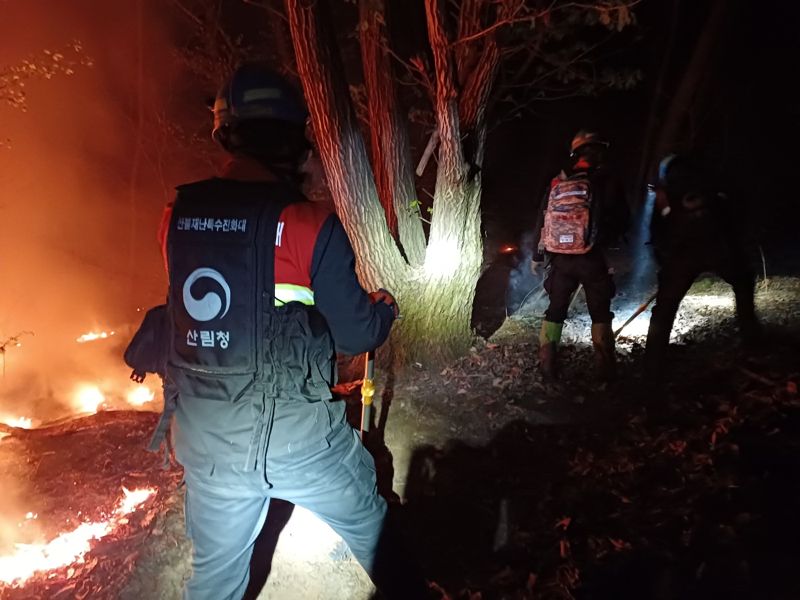 3일 오전 산불진화대원들이 경북 군위 산불 야간 진화 작업을 벌이고 있다.