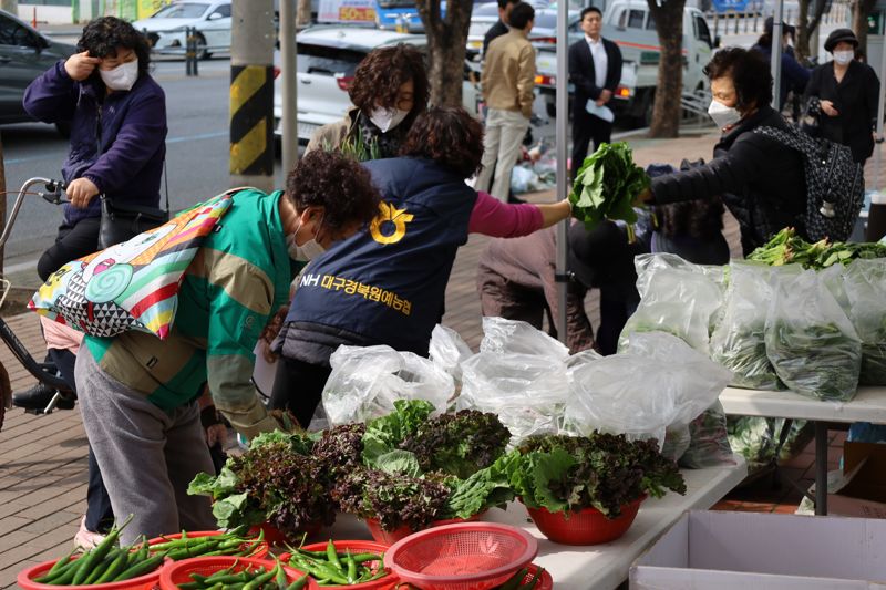 대구농협이 오는 4일 '대구농협과 함께하는 군위 농산물 직거래장터'를 개장한다. 사진=대구농협 제공