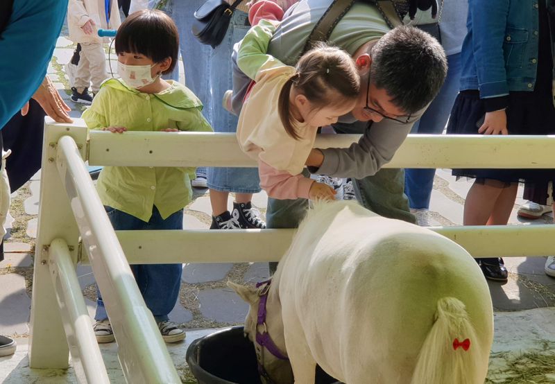 한국마사회 렛츠런파크 부산경남 홍보부스를 방문한 한 어린이가 미니홀스 '바우'를 쓰다듬고 있다./제공=렛츠런파크 부산경남