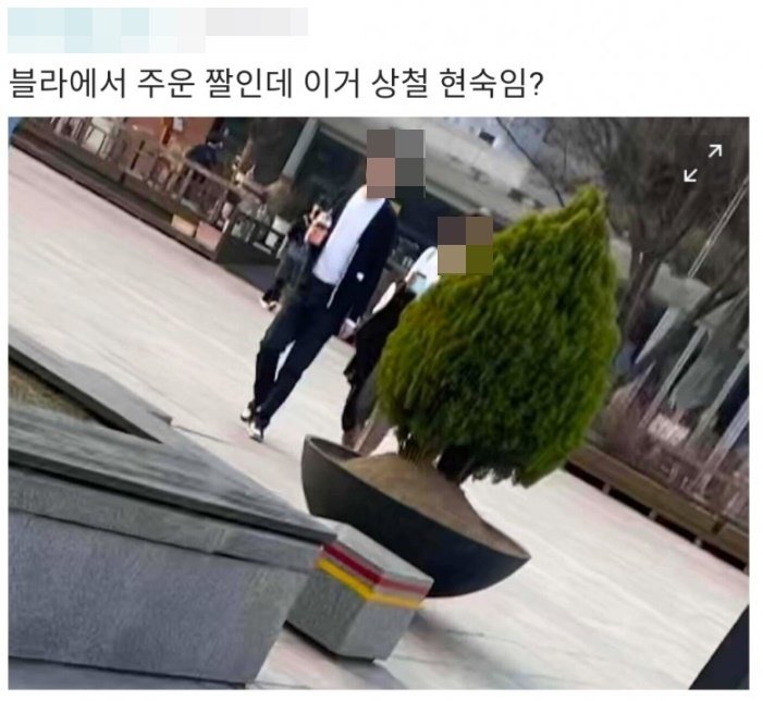 이상형 아니라더니…'나솔' 13기 상철·현숙, 데이트 목격담 확산