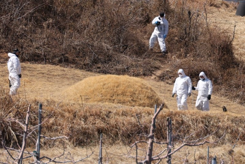 [안동=뉴시스] 김진호 기자 = 경북경찰청 전담수사팀이 13일 경북 봉화군 명호면에 소재한 이재명 민주당 대표의 양친 묘소에서 현장 검증을 하고 있다. 이 대표의 양친묘소는 최근 봉분 아래쪽 사방에 구멍 4개가 뚫려 있고, 구멍 2개에는 한자(生, 明, 氣 등)가 적힌 돌이 올려져 있는 등 훼손돼 경찰이 수사에 나섰다. 2023.03.13 kjh9326@newsis.com /사진=뉴시스