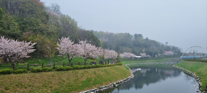 전남 목포시가 녹색 둘레길·명품 숲 조성으로 살아 숨 쉬는 도심 환경 개선에 나선다. 사진은 삼학도 숲길 전경. 사진=목포시 제공