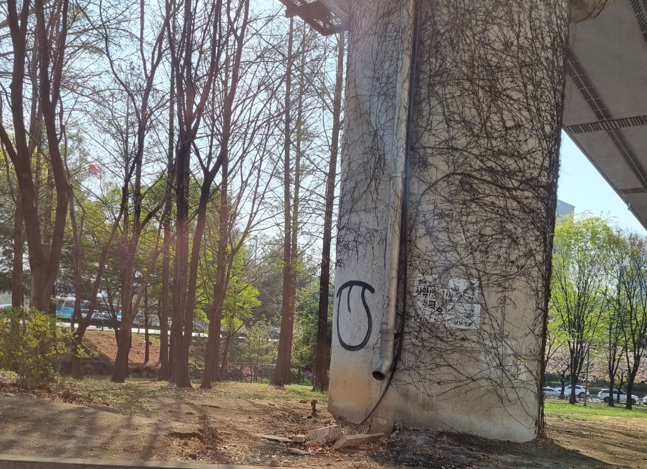 서울의 한 고가도로 기둥에 '혓바닥' 모양을 한 그래피티가 그려져 있다./사진=김동규 기자