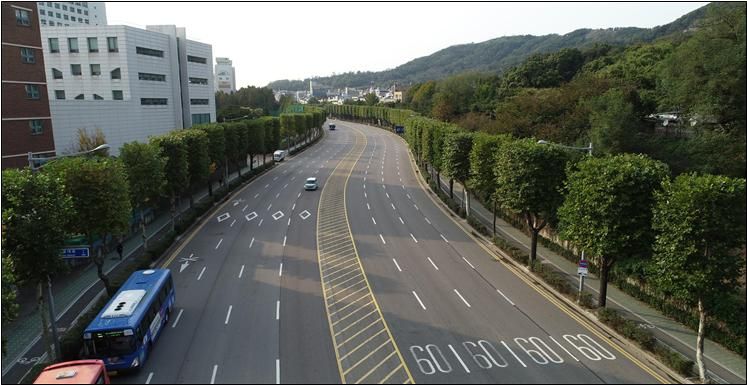 인천시는 가로경관을 관광 자원화하기 위해 군·구별로 특색 있는 명품 가로수길(특화가로)을 조성한다. 사진은 연수구 비류대로에 조성한 버즘나무 특화거리.