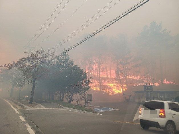 강릉 난곡동 산불. 뉴시스