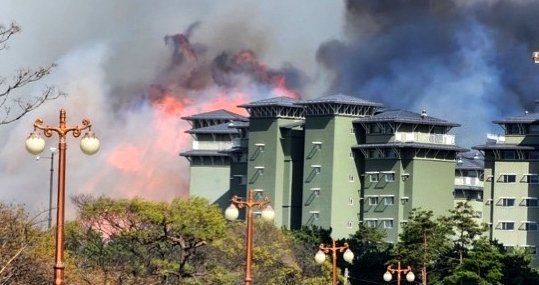 11일 오전 강원 강릉시에서 대형 산불 화재가 발생, 화염과 연기가 한 리조트를 삼킬 듯 커지고 있다.(독자 제공)