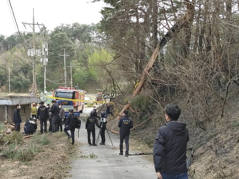 동해안 전신주 주변 나무 제거...산림청·지자체 산불예방 대책 강구