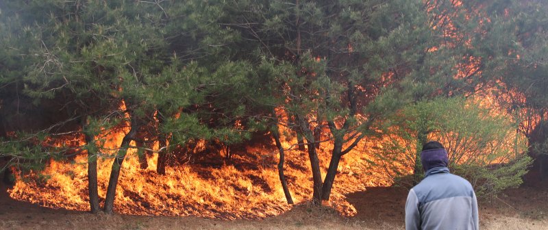 지난 11일 강원 강릉 난곡동 야산에서 발생한 산불 영향으로 경포해변 인근 골프장에 불이 옮겨 붙어 관계자들이 진화에 나서고 있다. 사진=뉴시스