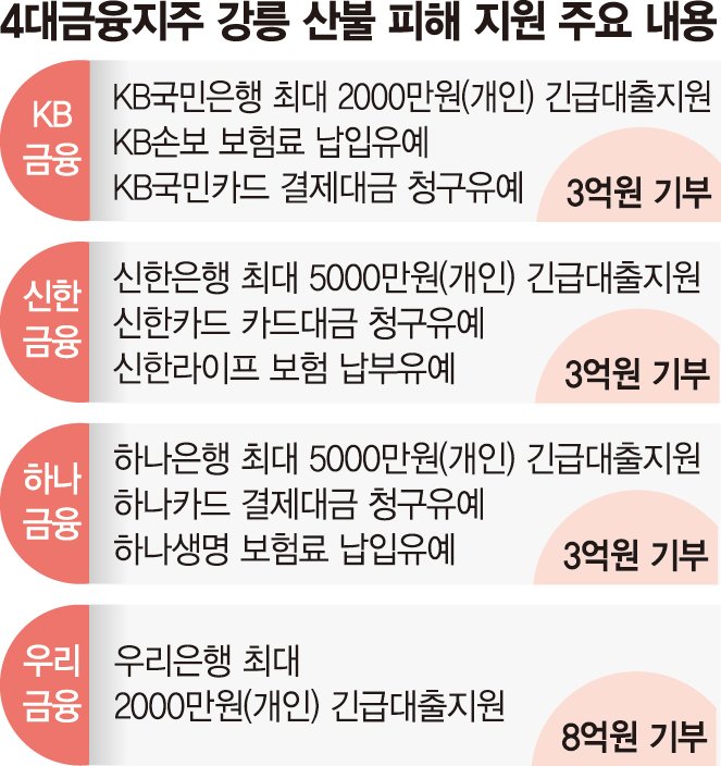 특별 대출·만기연장·보험금 우선지급... 산불피해 지역·주민 챙기는 금융지주