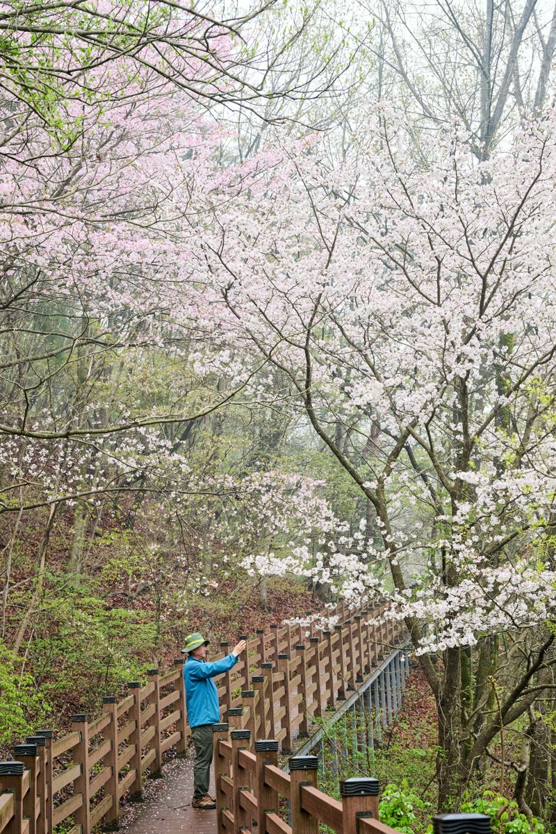 전북 완주 'BTS 힐링 성지'를 가다