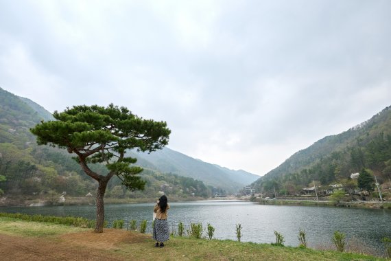 전북 완주 'BTS 힐링 성지'를 가다