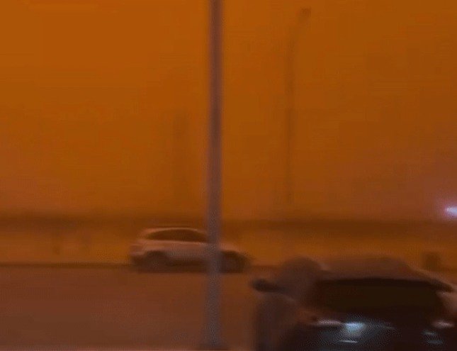 시나뉴스 갈무리