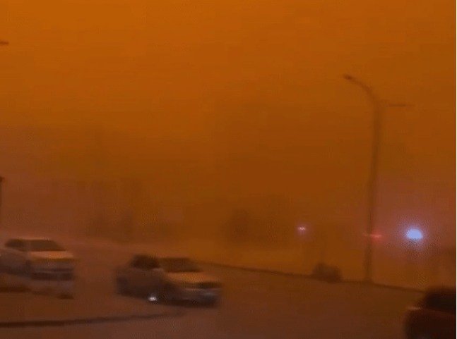 시나뉴스 갈무리