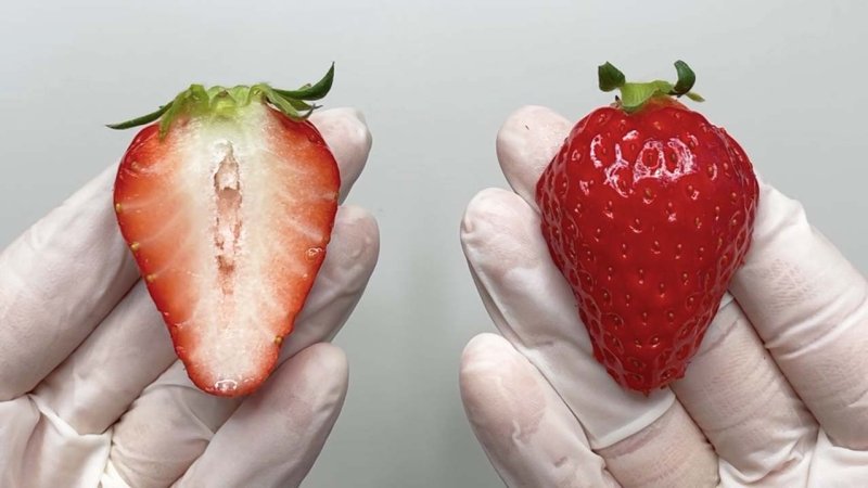 [서울=뉴시스]지난달 30일, 유튜버 '수상한 생선(본명 김준연)'이 강남의 한 카페에서 뉴시스와 인터뷰를 가졌다.(사진=수상한 생선 제공) 2023.04.10. photo@newsis.com *재판매 및 DB 금지