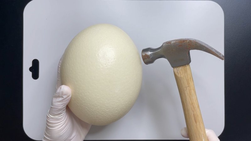 [서울=뉴시스]지난달 30일, 유튜버 '수상한 생선(본명 김준연)'이 강남의 한 카페에서 뉴시스와 인터뷰를 가졌다.(사진=수상한 생선 제공) 2023.04.10. photo@newsis.com *재판매 및 DB 금지