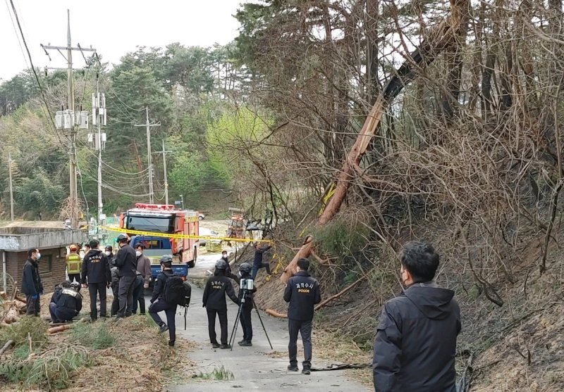 산림청 중앙산불방지대책본부는 11일 08시 30분 강원도 강릉시 난곡동 일원에서 발생한 산불의 원인을 강풍으로 나무가 쓰러지면서 전선을 덮쳐 단선되어 불꽃을 일으킨 것으로 추정하고 정확한 원인을 조사하고 있다. (산림청 제공) 2023.4.11/뉴스1