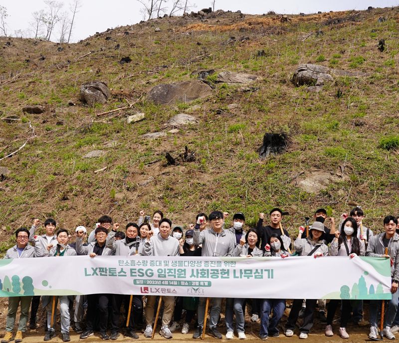 강원도 산불 지역에 나무 심었다…'아름다운숲' 조성 나선 LX판토스