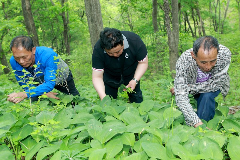 “귀농‧귀촌 살아보고 결정하세요”…인제군 ‘농촌 살아보기’ 본격추진