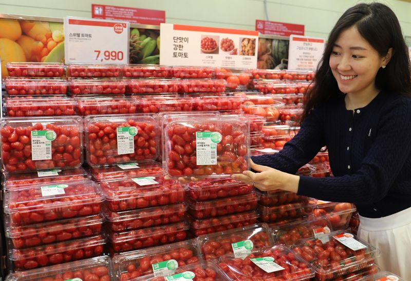 롯데마트 서울역점에서 한 고객이 100% 재생 플라스틱 용기 토마토를 살펴보고 있다. 롯데마트 제공.