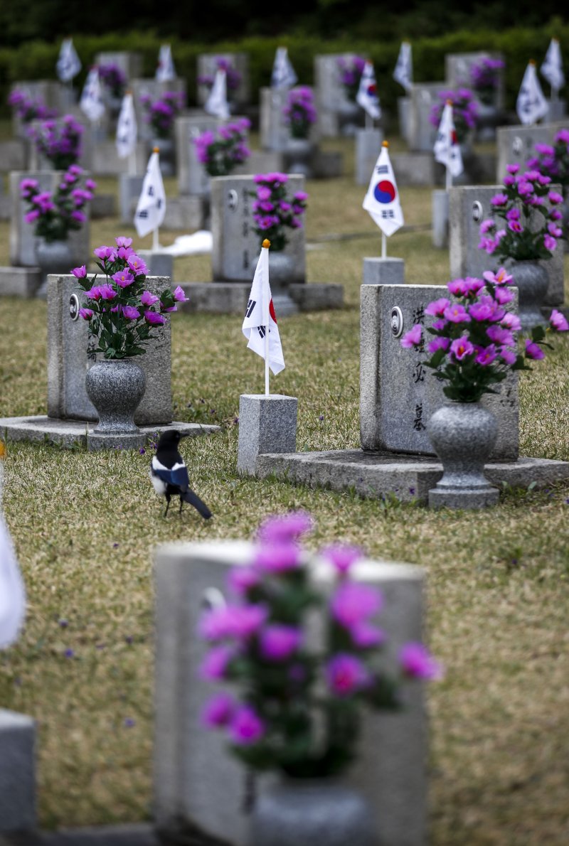 [서울=뉴시스] 정병혁 기자 = 4.19혁명기념일을 하루 앞둔 18일 오후 서울 강북구 4.19민주묘지에서 한 까치가 앉아 있다. 2023.04.18. jhope@newsis.com