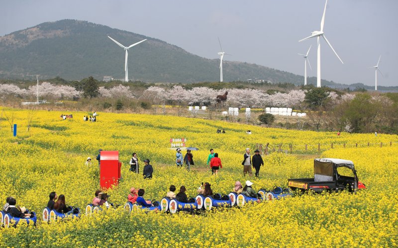 "제주여행, 만족스럽다 그러나 비싸다"