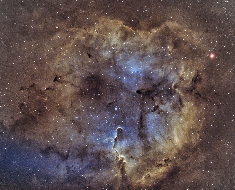 정예준 씨가 촬영한 '우주의 아름다움'은 제31회 천체사진공모전에서 꿈나무상에 선정됐다. 조경철 천문대 인근에서 코끼리코 성운(IC1396)을 촬영했다. 정예준 제공