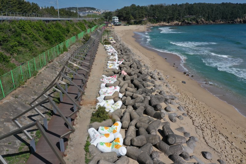 동해 한섬해변 꽃무늬 테트라포드 .(동해시 제공) 2023.4.24/뉴스1