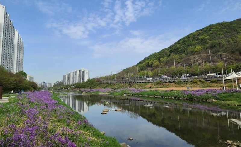 지방정원이 설치될 안양천의 전경. 사진=안양시