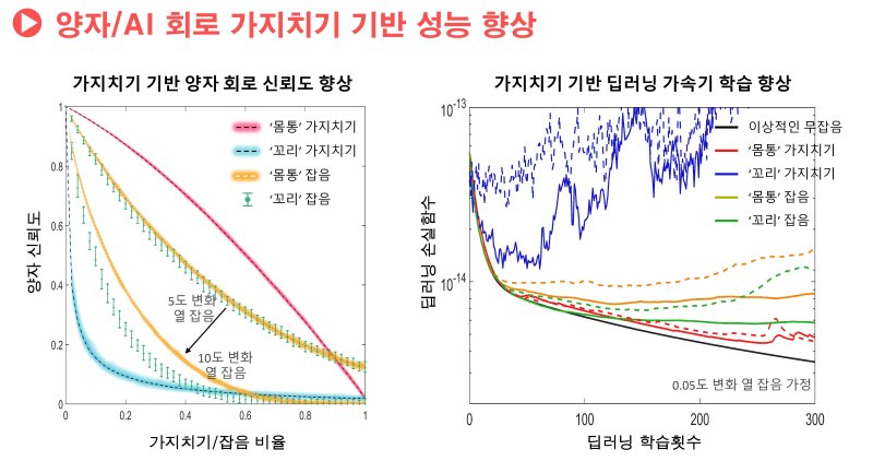 양자회로 가지치기를 통한 양자/AI 회로 성능 향상. (서울대 제공) /뉴스1