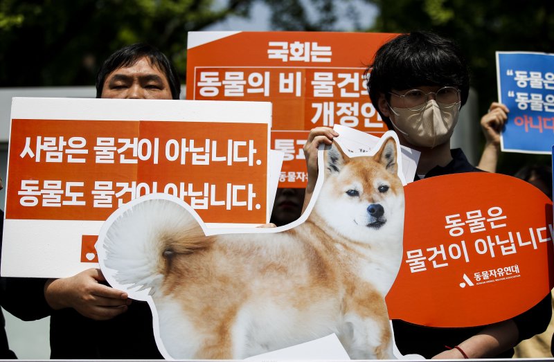 27일 서울 여의도 국회 앞에서 열린 '동물은 물건이 아니다' 민법 개정안 국회 통과 촉구 기자회견에서 동물권행동 카라를 비롯한 동물보호단체들이 피켓을 들고 있다. 뉴시스