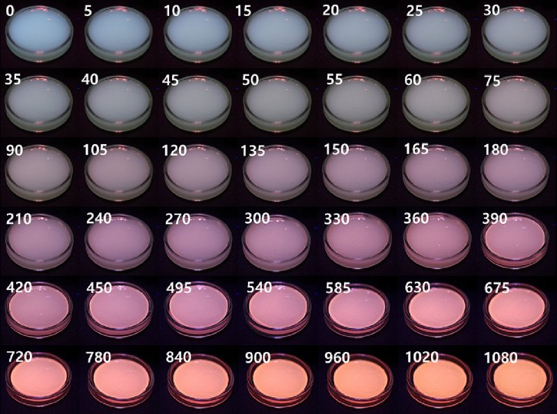 자외선 조사 시간에 따른 필름 색 변화.(부경대학교 제공)