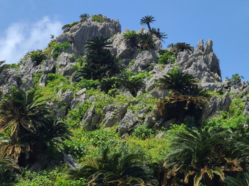 다이세키린잔 ⓒ News1