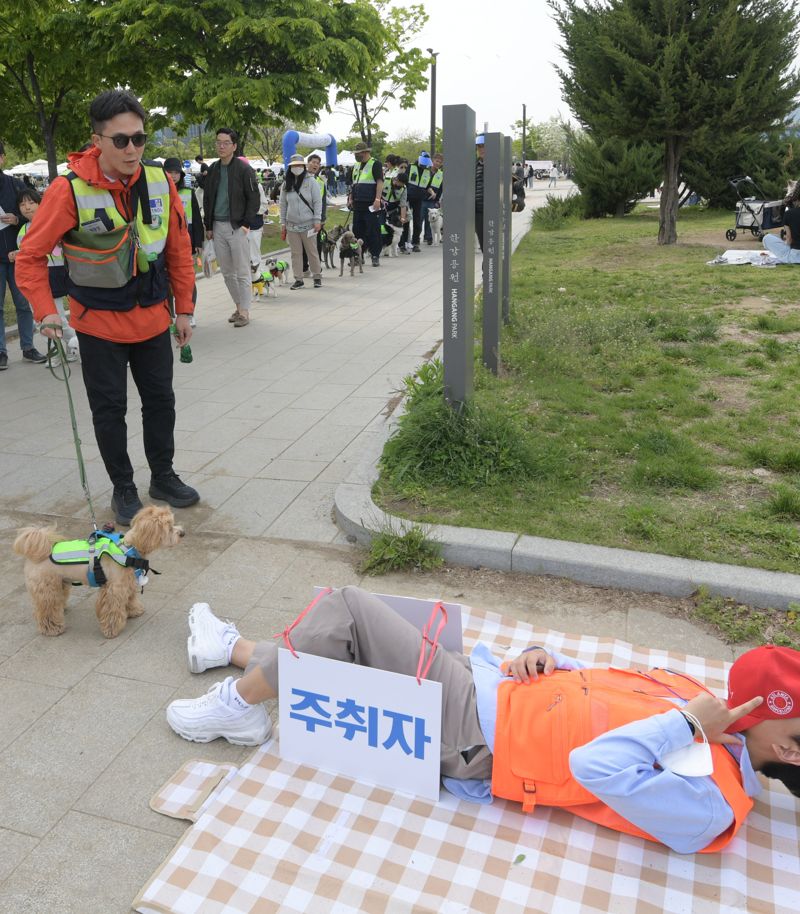 우리동네 지키는 서울 반려견 순찰대