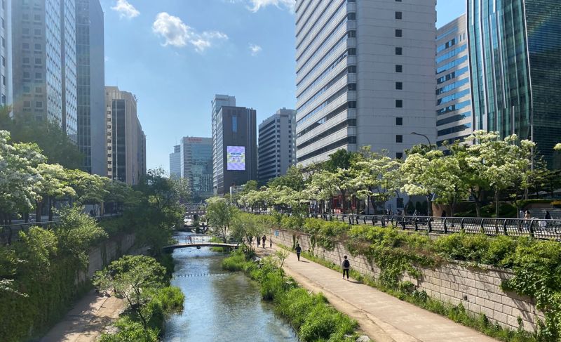 "5월엔 '명품 가로수길' 꼭 가보세요"