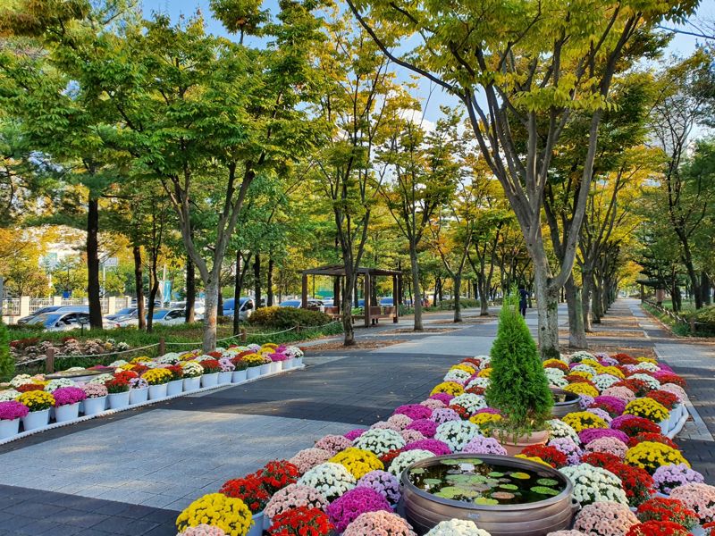 대전시 서구 둔산동 보라매공원길