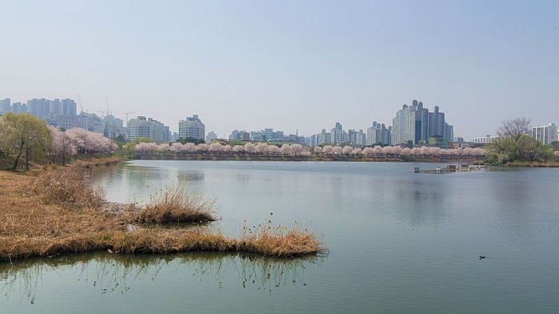 수원시립미술관, '만석 공원' 예술 탐구..오는 8월까지 운영