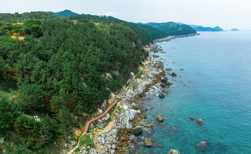 경북도 시·군 공무원이 추천하는 5월 관광명소 중 하나인 영덕군 블루로드. 사진=뉴시스