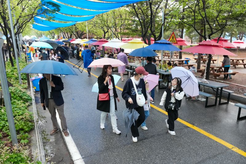 2023 양구 곰취축제 성료...봄나물 대표 축제 자리매김 성공