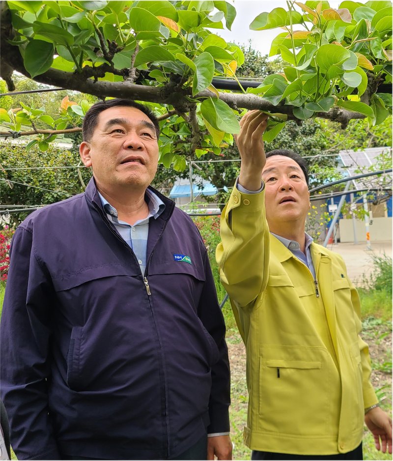 지난 3일 최문섭 NH농협손해보험 대표이사(오른쪽)와 금천농협 박하식 조합장이 전남 나주 소재 피해 농가를 둘러보고 있다. NH손보 제공