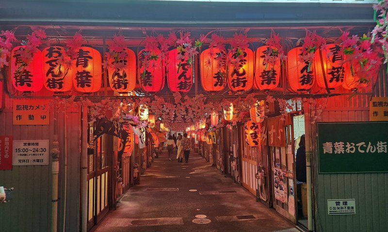 [일본=뉴시스]윤난슬 기자 = 아오바 오뎅가이.